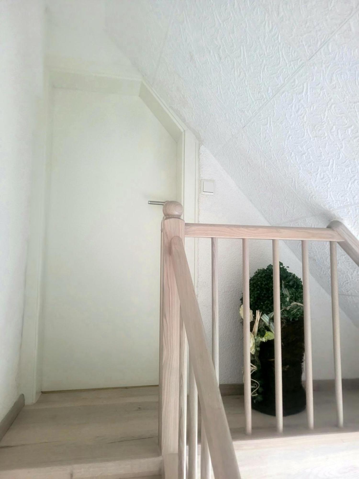 Sirisferienhaus Kurort Steinbach-Hallenberg Dış mekan fotoğraf